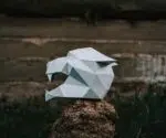 Tijgermasker papercraft, weergave 6