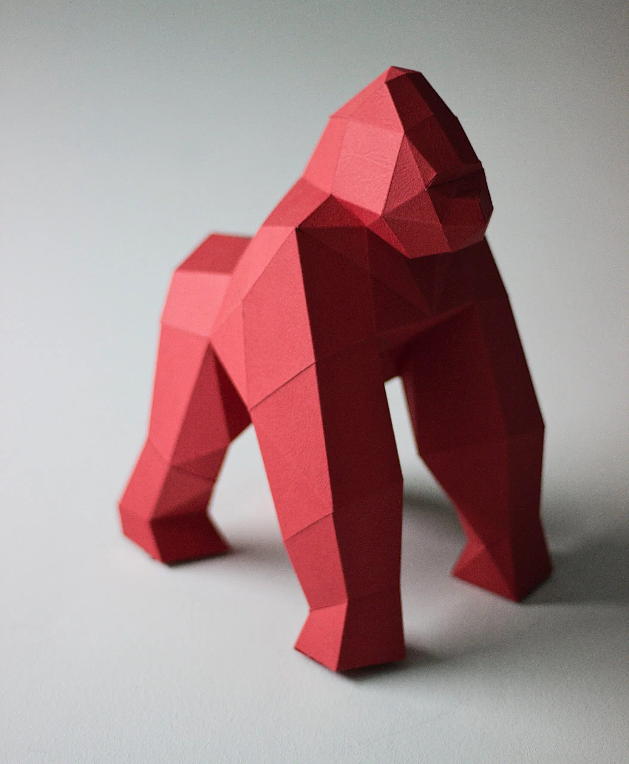 Papercraft Afrikaanse dieren in origami 3D - Pakket 4 - in - 1, weergave 16