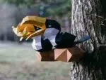 Papercraft von Tukanen auf Ast im 3D-Origami