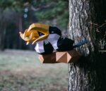 Papercraft de toucans sur branche en origami 3D