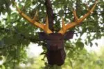 3D origami hertkop met geweien - Papercraft model, weergave 5