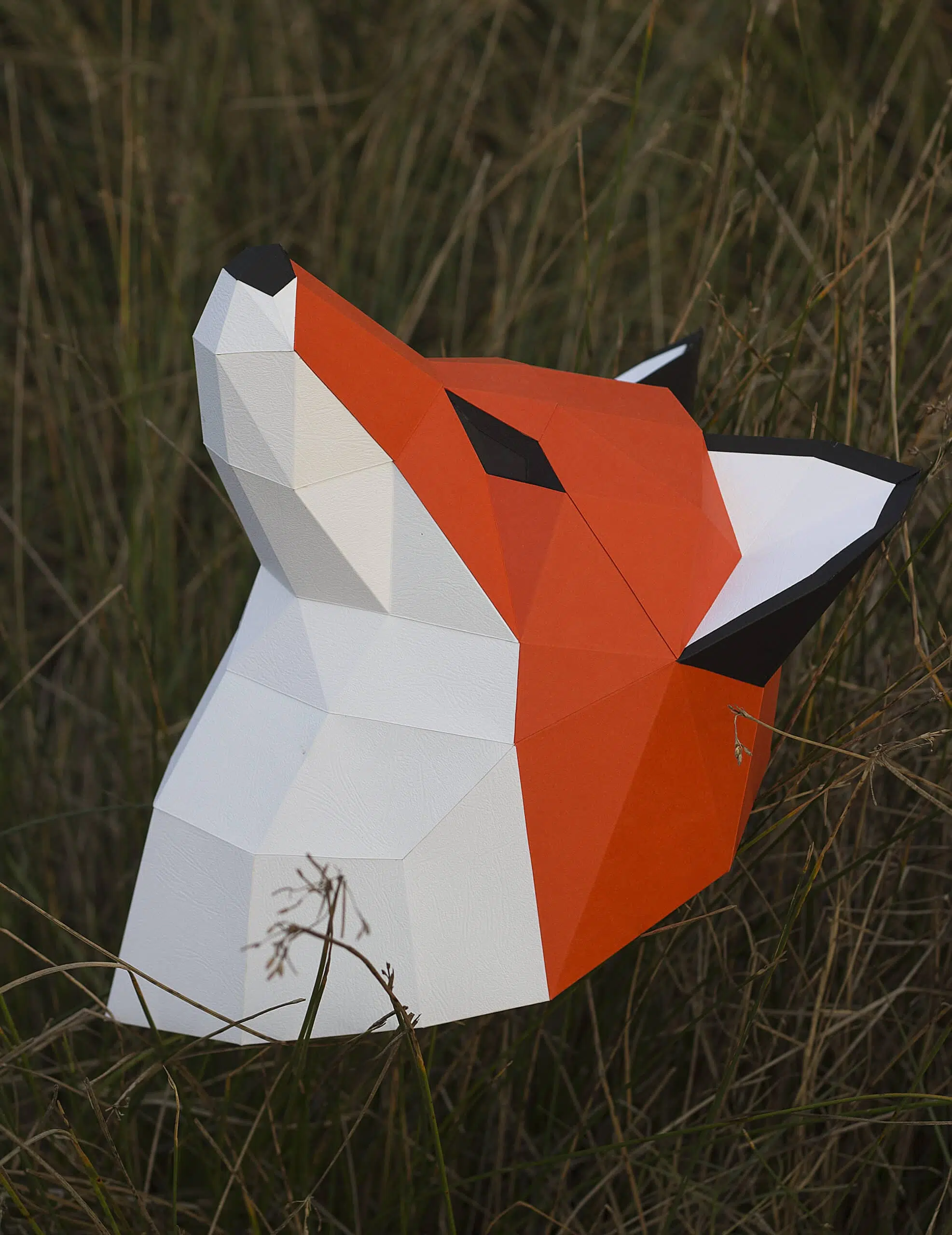 Voskop papercraft trofee 3D origami, weergave 9