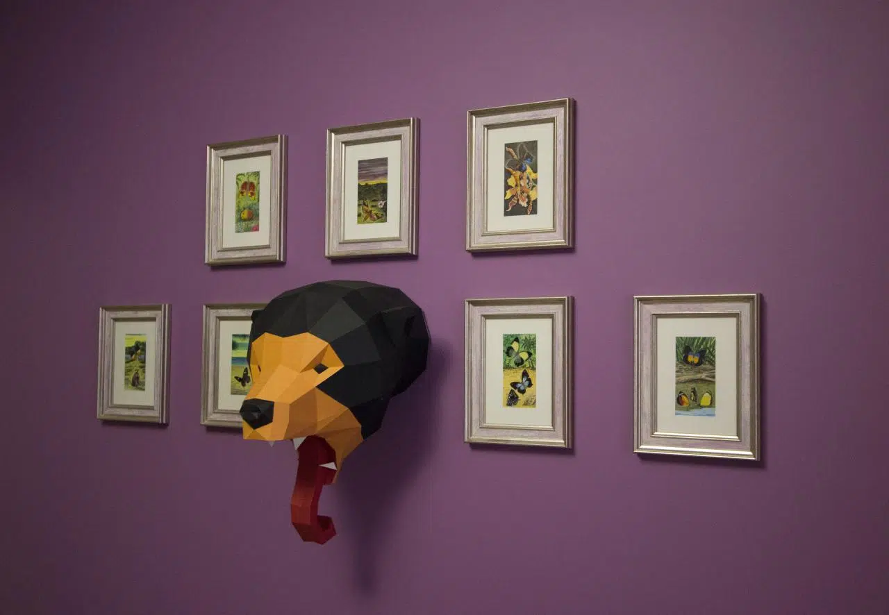 Origami 3D pakket zeldzame dieren, weergave 11