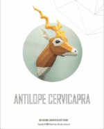 Papercraft de animais raros em origami 3D