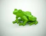 Origami 3D: Kikker papercraft, 3D-model