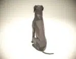 Papercraft Deutscher Hund als Origami