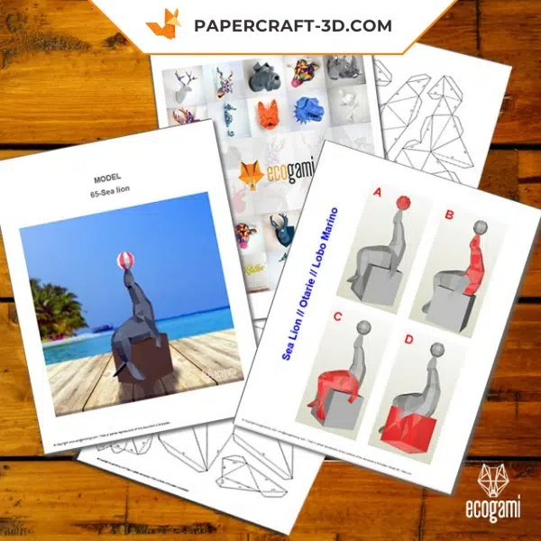 Papercraft 3d otarie, weergave 4