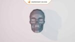 Papercraft human skull in 3D origami