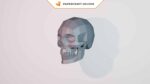 Papercraft human skull in 3D origami