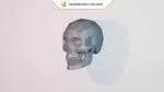 Papercraft crâne d’humain en origami 3D, weergave 4