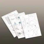 Papercraft of leopard in 3D origami