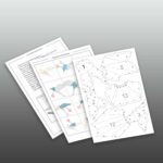 Papercraft d'oiseau en origami 3D