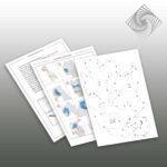 Papercraft schnauzer in 3D origami