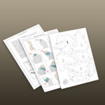 Papercraft einer Frauenbüste in 3D Origami