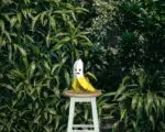 Bananenmodell für Kinder, Papercraft 3D, Detail, Ansicht 2