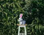 Modèle enfant de lapin mignon