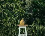 Modèle enfant de poire, weergave 8