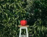 Modèle enfant de pomme, weergave 10