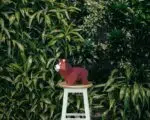Modelo infantil de urso