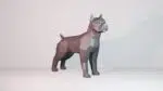 3D Origami Pitbull Papercraft