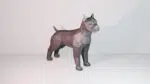 3D Origami Pitbull Papercraft