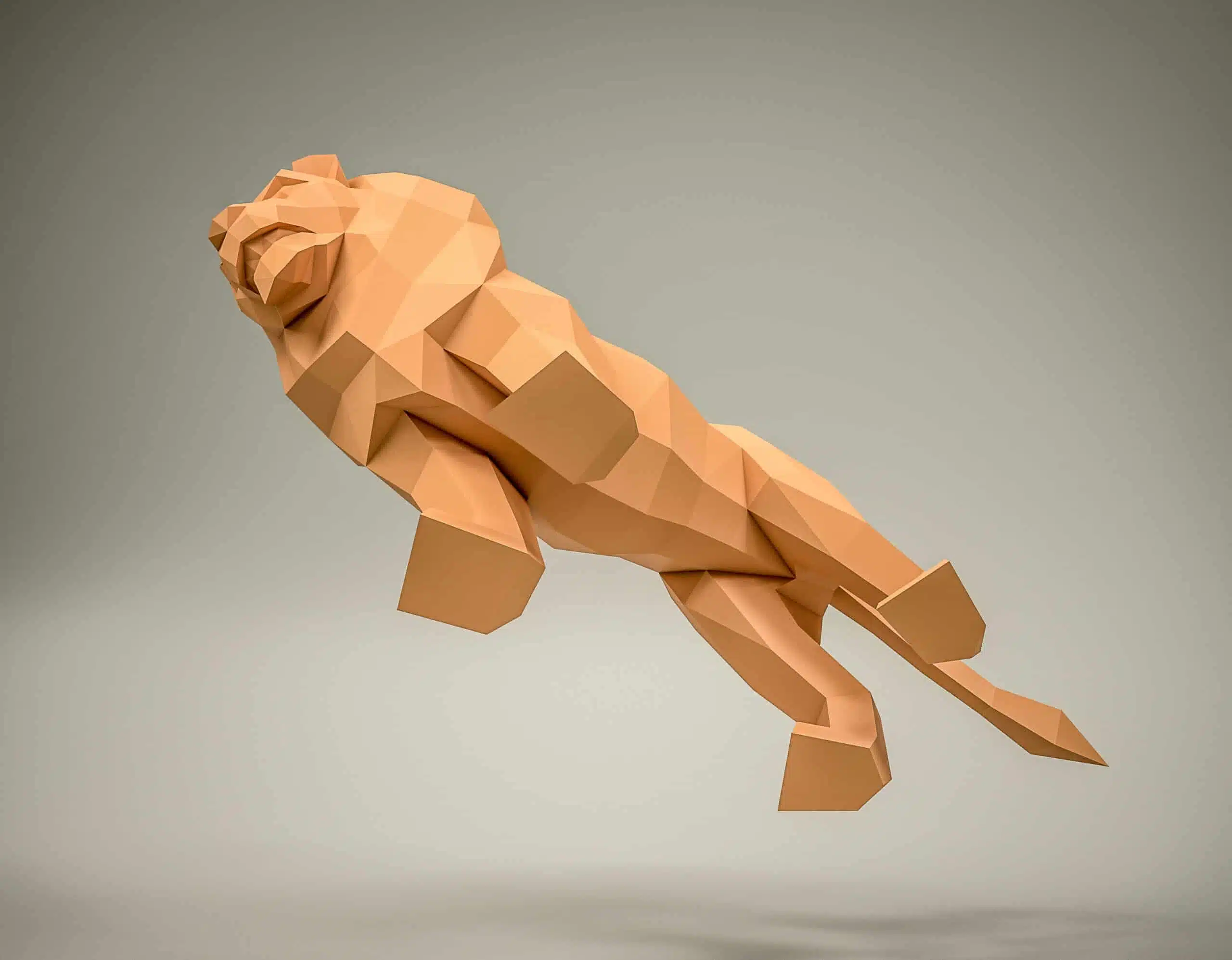 Origami 3D leeuw, weergave 6
