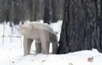 Papercraft urso em movimento em origami 3D