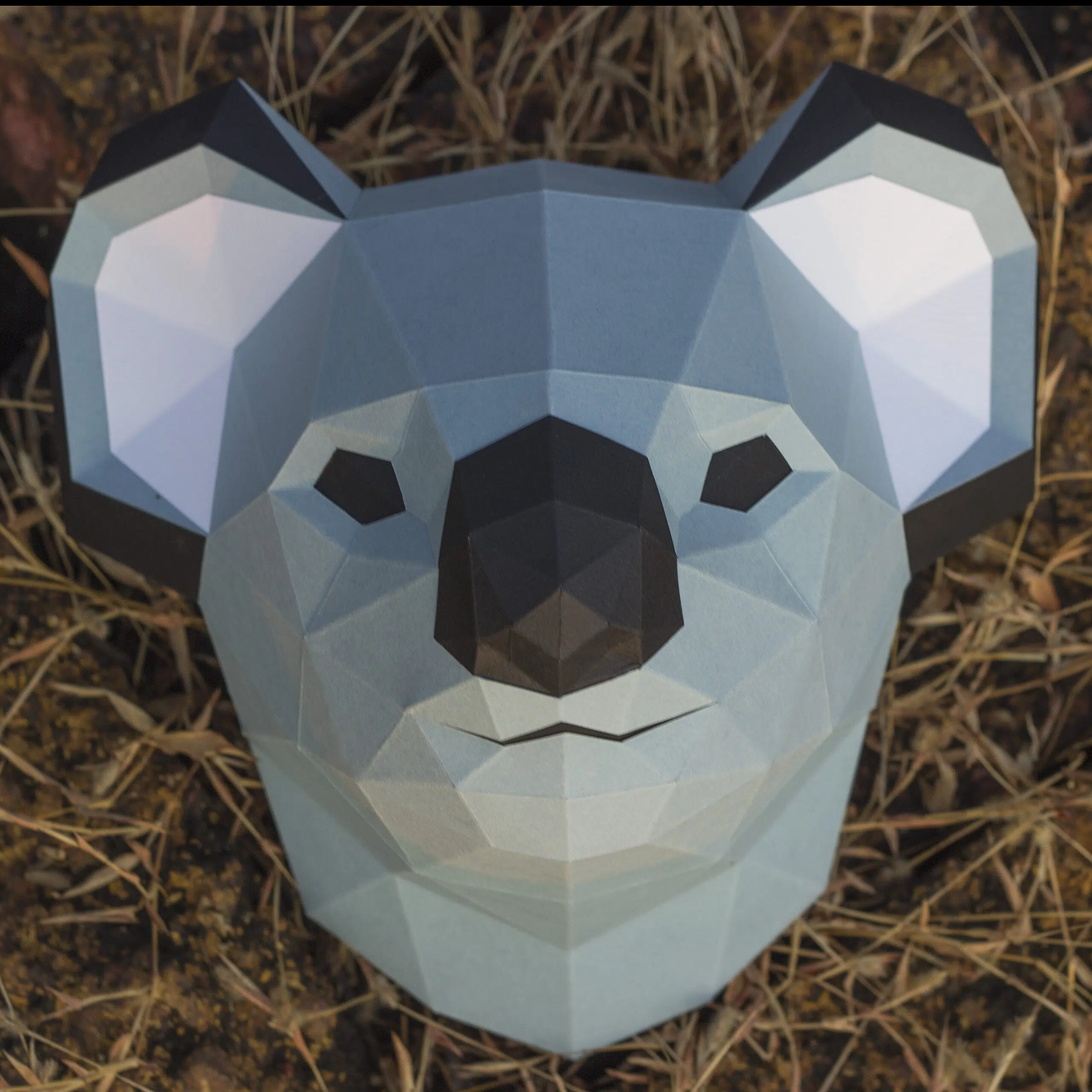 Papercraft koalakop aan de muur in 3D origami, weergave 6