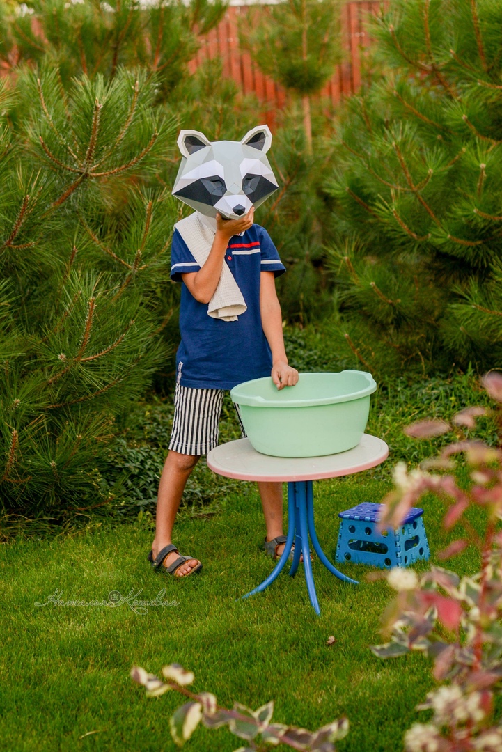 Papercraft raccoon head in origami 3D