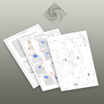 Papercraft eines Löwen in Origami 3D