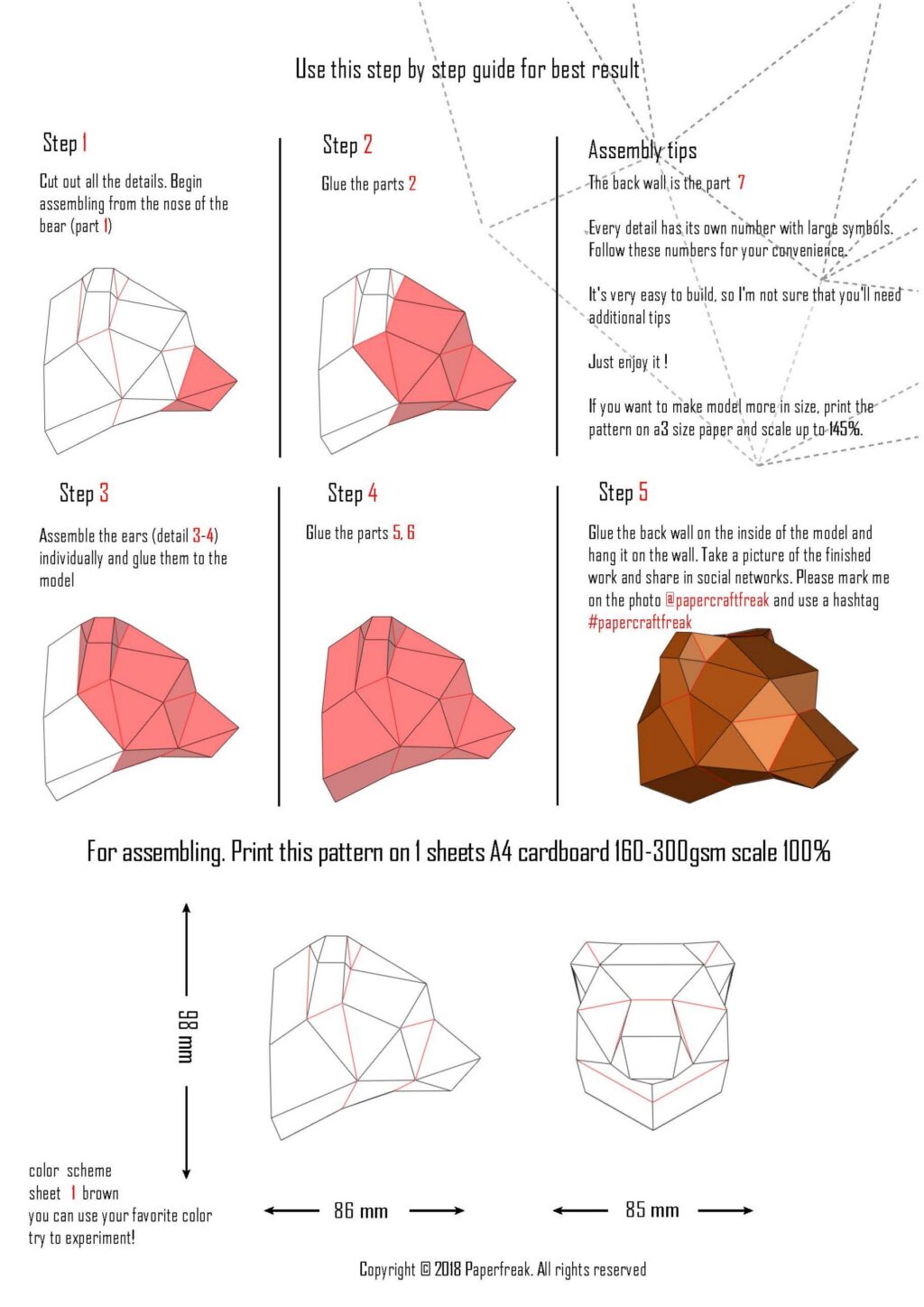 Small Bear Head Trophy V2 in 3D Papercraft – Kids Model
