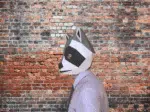 Maschera da procione bianca e nera in papercraft 3D