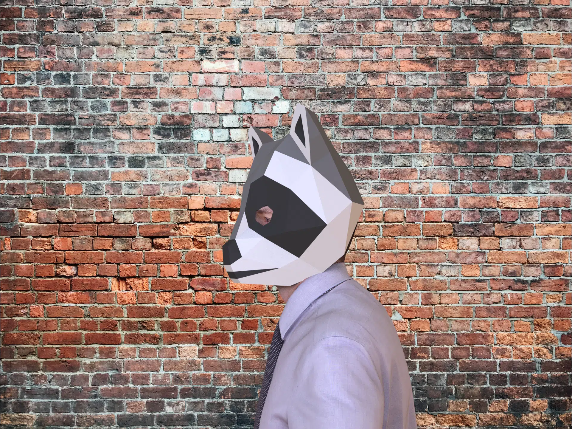 Maschera da procione in papercraft 3D, montato