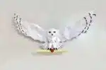 Hedwig-Eule aus Harry Potter als 3D-Papercraft