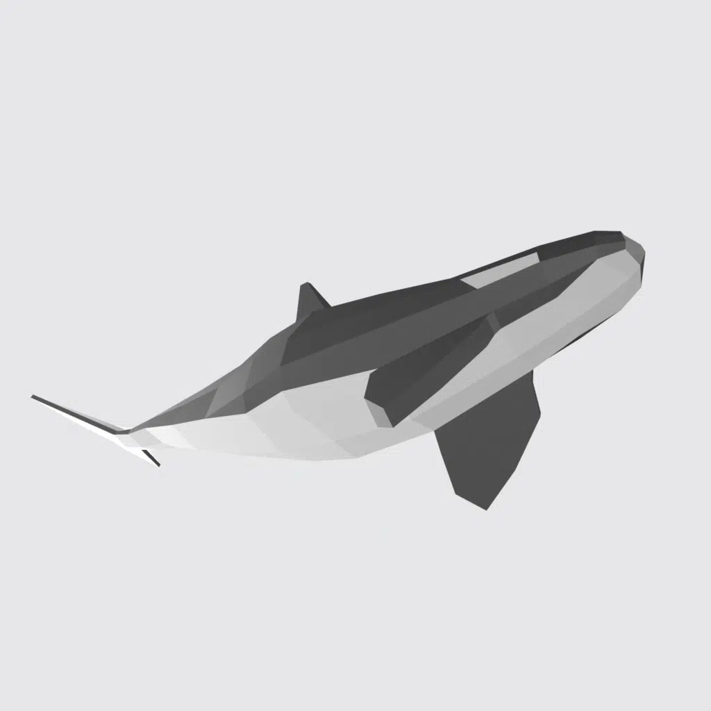 Orka in papercraft 3D, weergave 3