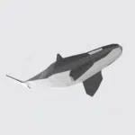 Orka in papercraft 3D, weergave 3