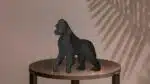 Gorilla in 3D papercraft, weergave 5