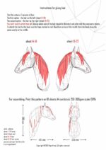 Papercraft eines arabischen Pferdes als 3D-Origami