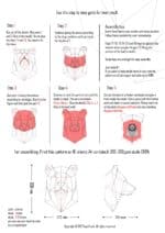 Papercraft di testa d'orso in origami 3D