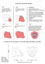 Papercraft de cabeza de trofeo de oso en origami 3D