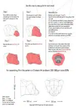 Origami 3D berentrofee met gesloten bek, weergave 5