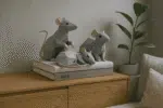 Origami 3D rat voor Chinees Nieuwjaar, 3D-model