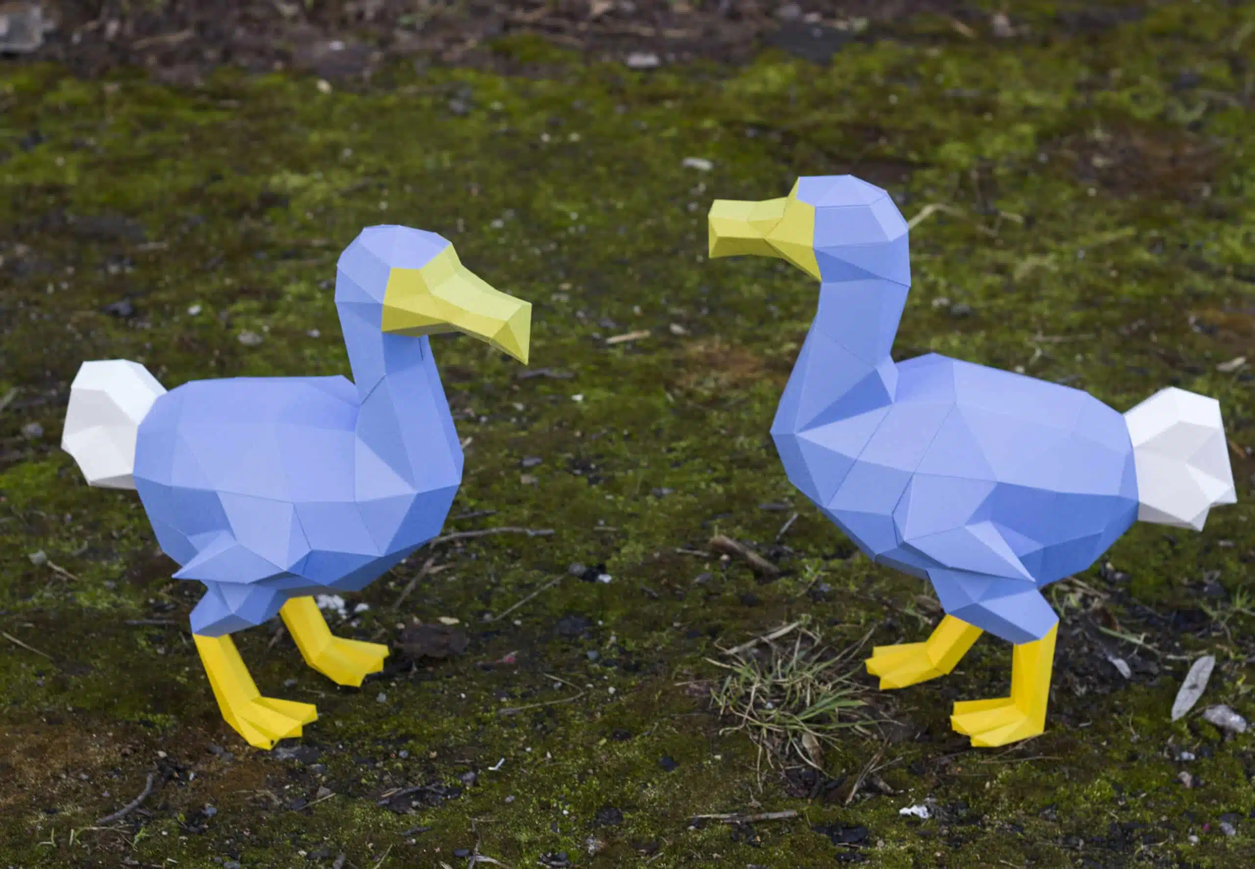 Papercraft de dodo en origami 3D, vue 6