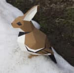 Papercraft of sparrow and rabbit in 3D origami