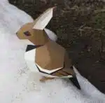 Vogel en konijn papercraft 3D origami, weergave 7