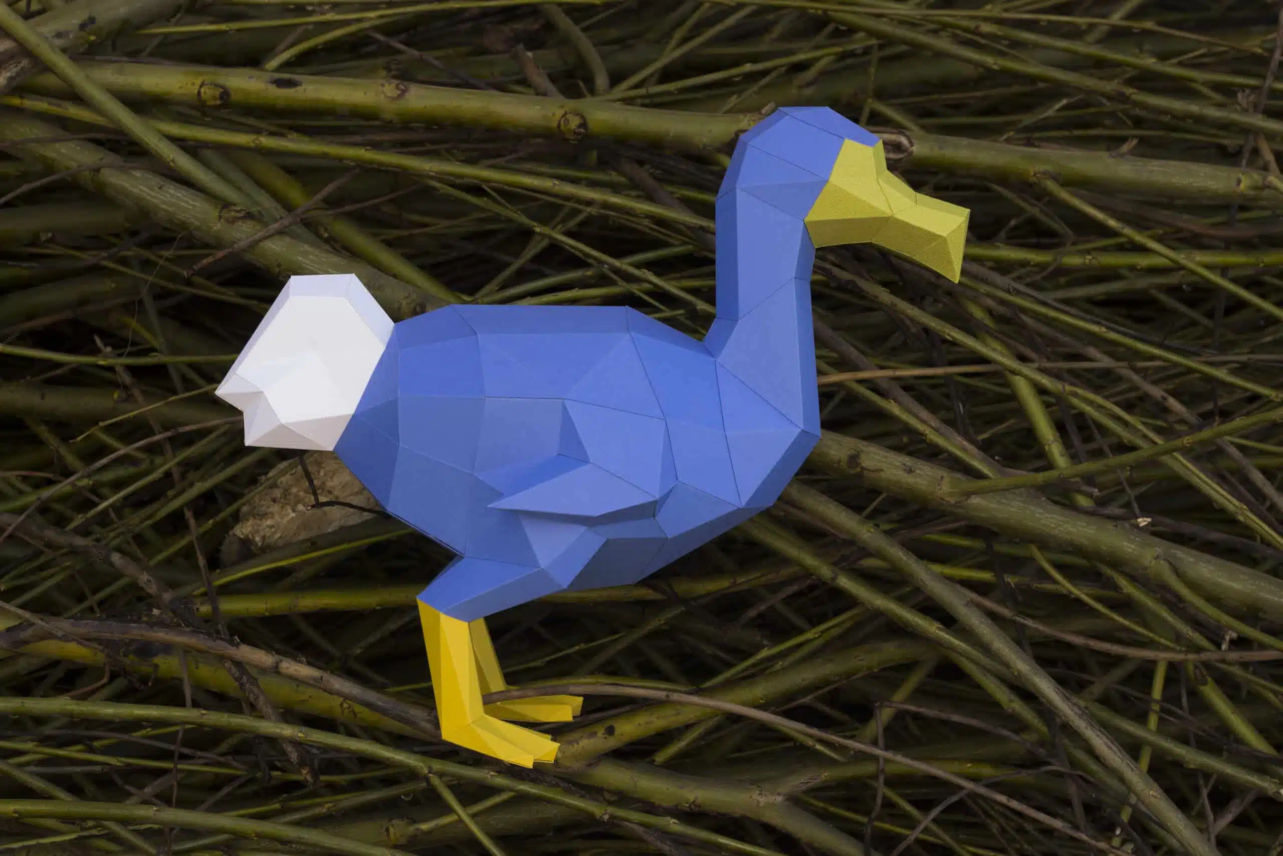Papercraft de dodo en origami 3D, vue 10