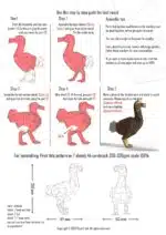 Dodo in 3D origami-papercraft, weergave 6