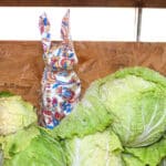 Papercraft of small rabbit in 3D origami