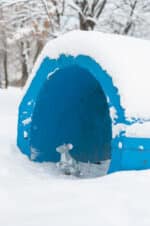 Papercraft of rat in 3D origami