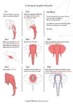 Papercraft elephant head in origami 3D